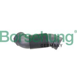 Nasávacia hadica, Vzduchový filter Borsehung B12323