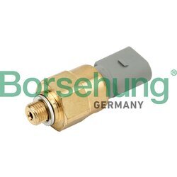 Olejový tlakový spínač Borsehung B13135