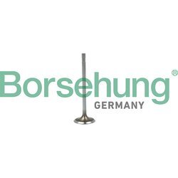 Nasávací ventil Borsehung B19015
