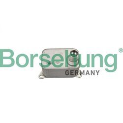 Chladič motorového oleja Borsehung B19085