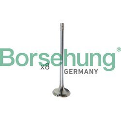 Nasávací ventil Borsehung B10322