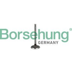 Nasávací ventil Borsehung B18998