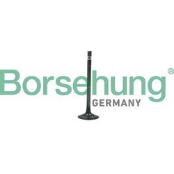 Výfukový ventil Borsehung B19006