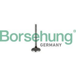 Nasávací ventil Borsehung B19029