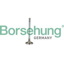Nasávací ventil Borsehung B19021