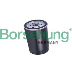 Olejový filter Borsehung B19032