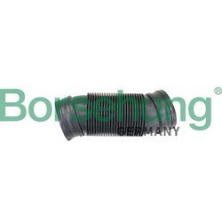 Nasávacia hadica, Vzduchový filter Borsehung B12326