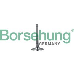 Nasávací ventil Borsehung B19027