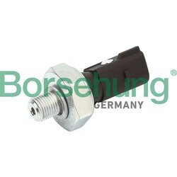 Olejový tlakový spínač Borsehung B13137
