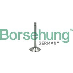 Výfukový ventil Borsehung B19000