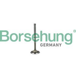 Nasávací ventil Borsehung B19019