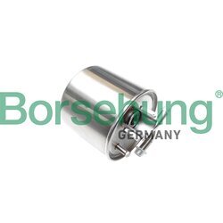 Palivový filter Borsehung B10482