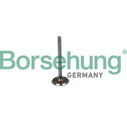 Nasávací ventil Borsehung B19030