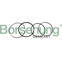 Sada piestnych krúžkov Borsehung B10371