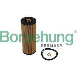 Olejový filter Borsehung B10544
