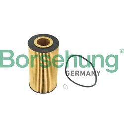 Olejový filter Borsehung B12220