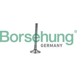 Výfukový ventil Borsehung B19008