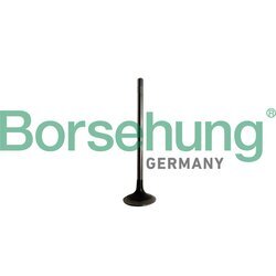 Výfukový ventil Borsehung B10329
