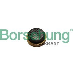 Filter/sitko trubky olejového čerpadla Borsehung B11897