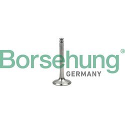 Výfukový ventil Borsehung B18997
