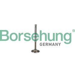 Výfukový ventil Borsehung B19009