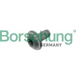 Skrutka brzdového kotúča Borsehung B10635