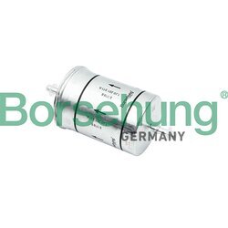 Palivový filter Borsehung B12825