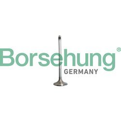 Nasávací ventil Borsehung B10327