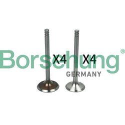 Súprava ventilov, sací/výfukový ventil Borsehung B18641