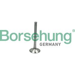 Výfukový ventil Borsehung B19013