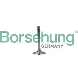 Nasávací ventil Borsehung B19028