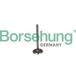 Nasávací ventil Borsehung B19016
