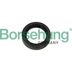 Tesniaci krúžok ložiska spojkového hriadeľa Borsehung B12192