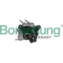 Vákuové čerpadlo brzdového systému Borsehung B17906