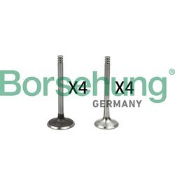Súprava ventilov, sací/výfukový ventil Borsehung B18766