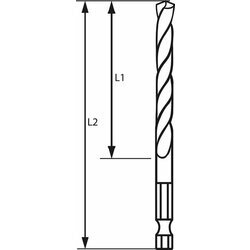 BOSCH Skrutkovitý vrták HSS so šesťhrannou stopkou 5,0 mm (10)