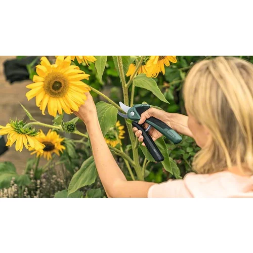 BOSCH Akumulátorové záhradné nožnice EasyPrune (5)