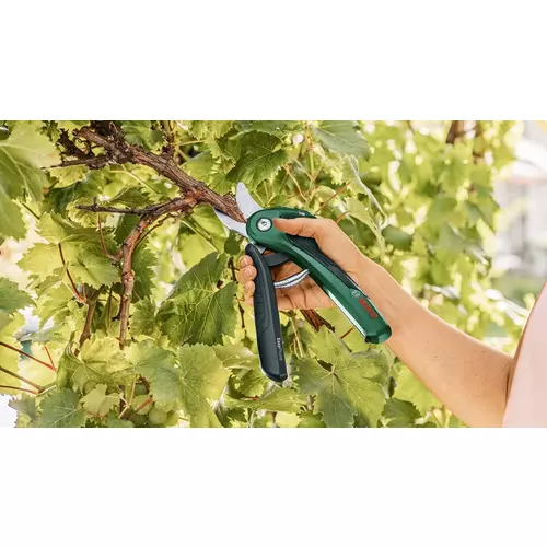 BOSCH EasyPrune (4)