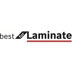 BOSCH Pílový list do okružnej píly Best for Laminate (4)