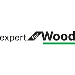 BOSCH Pílový kotúč Expert for Wood (4)