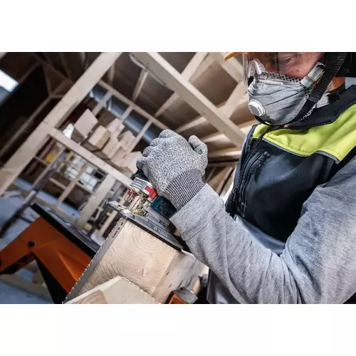 BOSCH List do priamočiarej píly PRO Wood precise T1044DP, 250 mm, 2 ks (6)