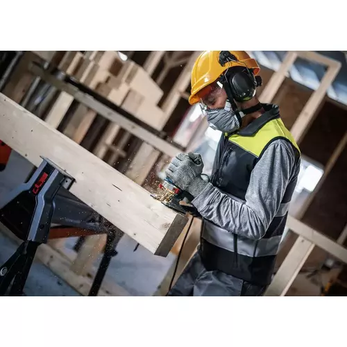 BOSCH List do priamočiarej píly PRO Wood precise T1044DP, 250 mm, 2 ks (5)