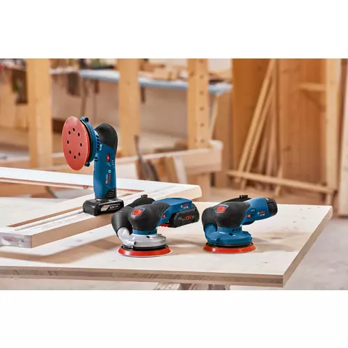 BOSCH GEX 12V-125 (18)