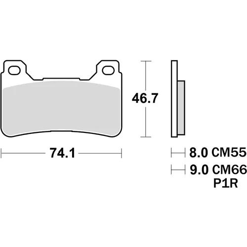 Brzdové doštičky BRAKING 899CM55 (sintrovaná zmes CM55) 2 ks v balení