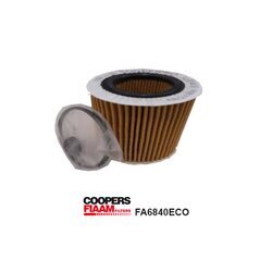 Olejový filter CoopersFiaam FA6840ECO