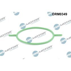 Tesnenie vákuového čerpadla Dr.Motor Automotive DRM0349