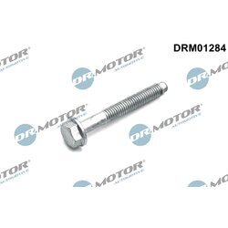 Skrutka, držiak vstrekovacej trysky Dr.Motor Automotive DRM01284