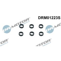 Tesniaci krúžok držiaka trysky Dr.Motor Automotive DRM01223S