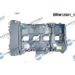 Kryt hlavy valcov Dr.Motor Automotive DRM12901