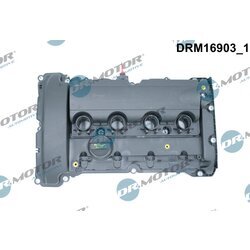 Kryt hlavy valcov Dr.Motor Automotive DRM16903